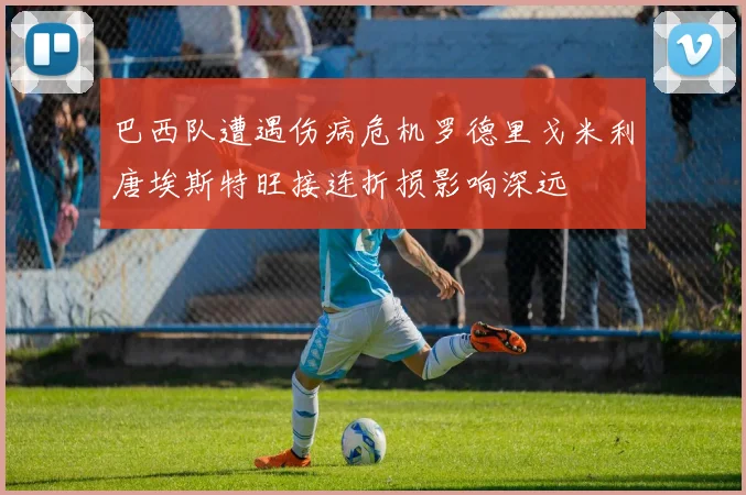 巴西队遭遇伤病危机罗德里戈米利唐埃斯特旺接连折损影响深远